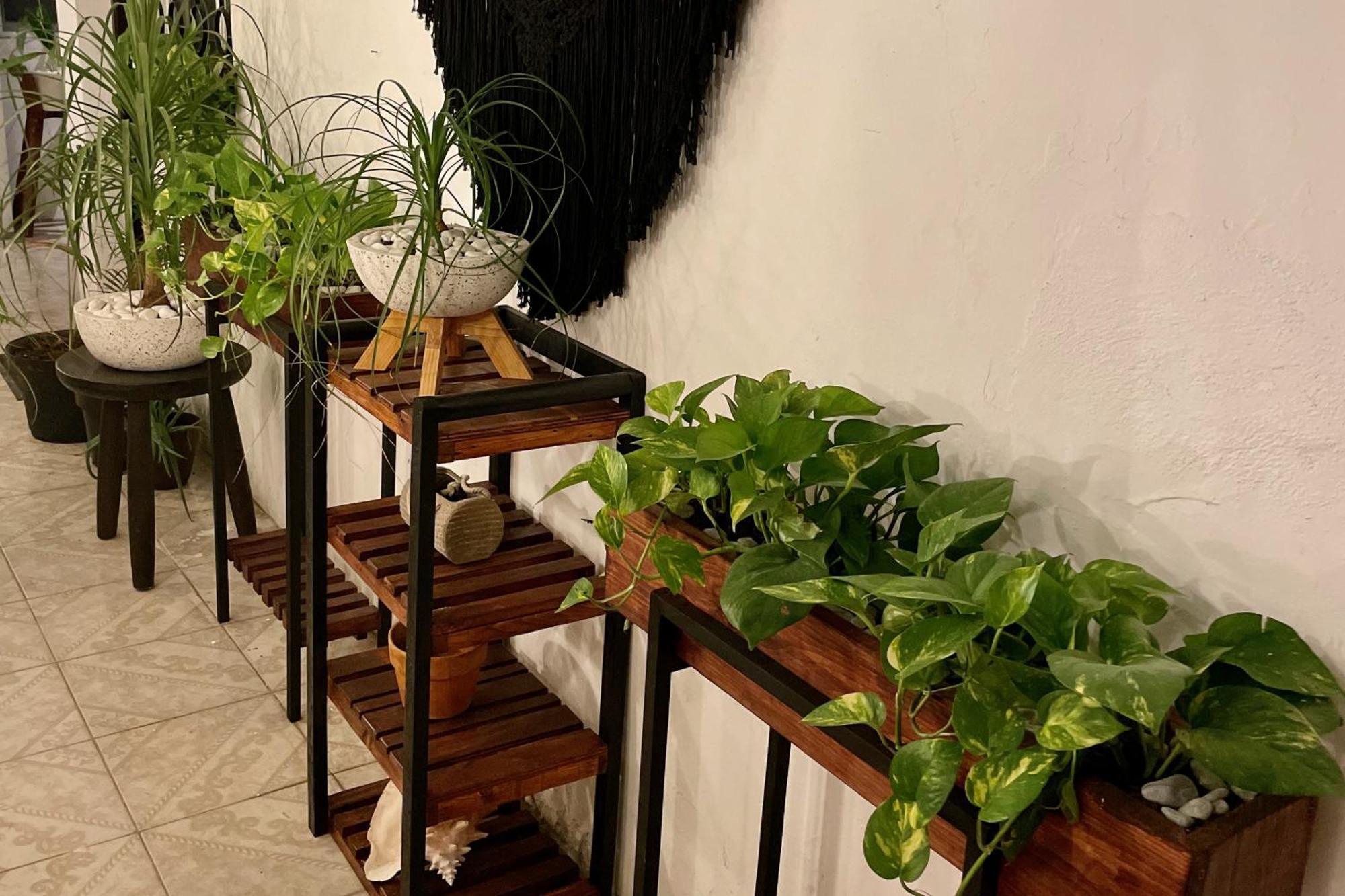קנקון Reno Central Apartments Downtown מראה חיצוני תמונה